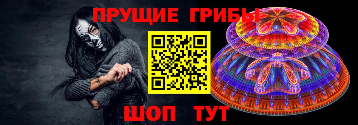 Галлюциногенные грибы Cubensis Ликино-Дулёво